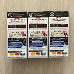 サロンドプロ ワンプッシュヘアカラー 3個の画像