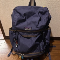 【希少! 入手困難!】 patagonia (パタゴニア) ARBOR GRANDE BACKPACK 28L (アーバー グランデ バックパック) リュック 2気室構造 耐水加工 CLASSIC NAVY (ネイビー) 47971 CNYの画像