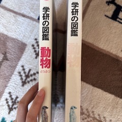 学研の図鑑 動物の画像