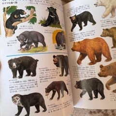 学研の図鑑 動物の画像