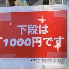 サービス めだか、メダカ 無人販売の画像