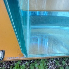 ガラス水槽 900×400×500の画像