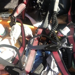 タジマフルハーネスの画像