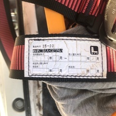 タジマフルハーネスの画像