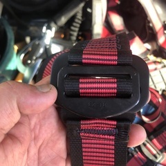 タジマフルハーネスの画像