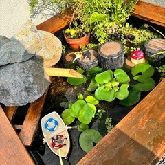 ビオトープ、水槽のレイアウト＋設置