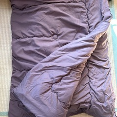 掛け布団と敷布団
の画像