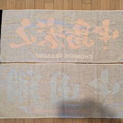 【非売品､廃盤品】中田翔 中島宏之 中日ドラゴンズ選手応援タオルの画像