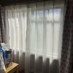 11/16希望●無料！遮光カーテン&レースの画像
