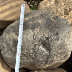 園芸用の石(大きめ))の画像