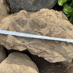 園芸用の石(大きめ))の画像