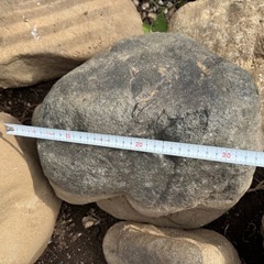 園芸用の石(大きめ))の画像