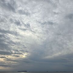 博士進学を考える