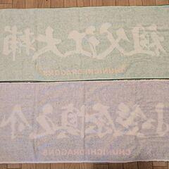 【非売品､廃盤品】祖父江大輔 小笠原慎之介 中日ドラゴンズ選手応援タオルの画像