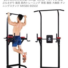 懸垂バー　ぶら下がり健康器の画像