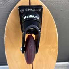 トライホイール　フィッシュの画像