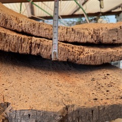 板付用大きなコルク板（@10cm/1000円）の画像