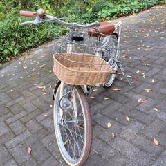 子供用自転車（アサヒ　フェリーク　ホワイト）　２０インチ　の画像