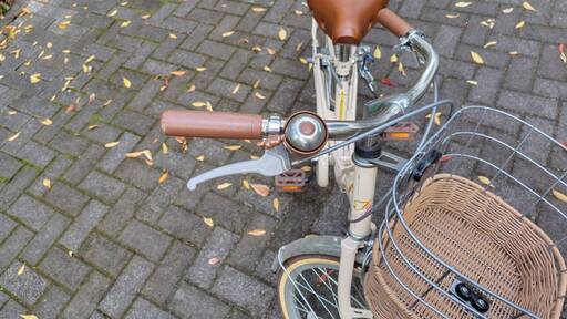 子供用自転車（アサヒ　フェリーク　ホワイト）　２０インチ　
