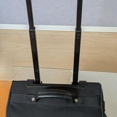 キャリーバッグの画像