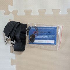 キャリーバッグの画像