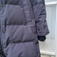 カナダグースの画像