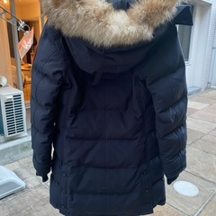 カナダグースの画像