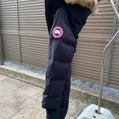 カナダグースの画像