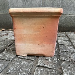 【11月限定出品】植木鉢 テラコッタ鉢②の画像