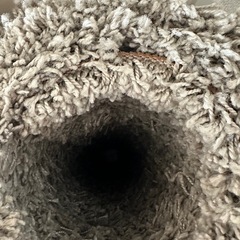 
☆IKEA ラグ　パイル長 ☆の画像