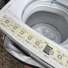 ［2024年1月購入］洗濯機の画像
