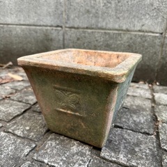 【11月限定出品】植木鉢 テラコッタ鉢③の画像