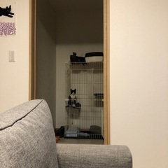 ペットケージの画像