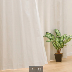 遮光カーテン　ニトリ　アイボリーの画像