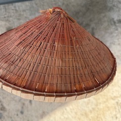 たぬき　剥製　他を抜く　えんぎもの縁起物の画像