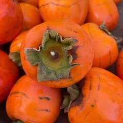[引渡し待ち中]渋柿　もらってくださいの画像