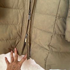 ベージュダウンの画像