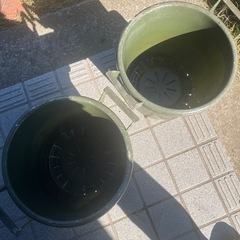 植木鉢2個セット　あげます！の画像
