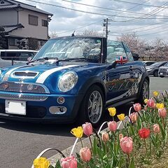 【壊れにくい車のTOP３にランキングされたBMW/MINI】”Cute but Monster Convertible”～"The Greatest Small Car in The World!!"～「オープンカーの醍醐味を知らずに人生を過ごすなんて勿体ない！」の画像