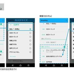 【完全新品】★生産完了品★Sony密閉型インナーイヤーレシーバーMDR-EX450APホワイト保証書付きの画像