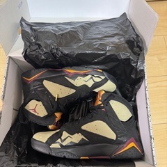 NIKE JORDAN7 Retro 25.5cmの画像