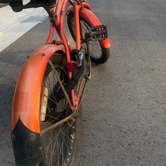 ビーチ　クルーザー　レインボーの画像