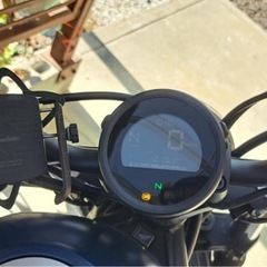 レベル250の画像