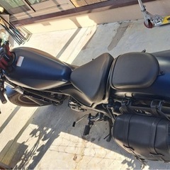 レベル250の画像