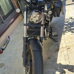 レベル250の画像