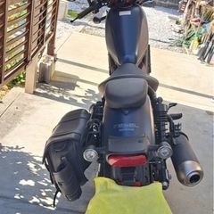 レベル250の画像