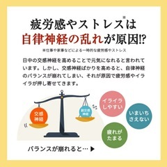 伝統にんにく卵黄 極の画像