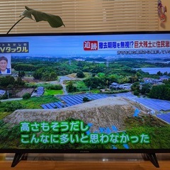 テレビ43型の画像