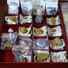 鉱物コレクションとデータブックの画像