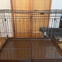 猫用ケージの画像